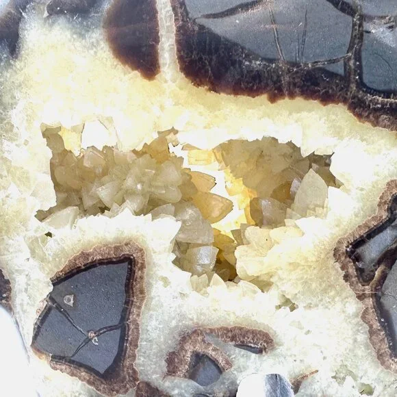 Septarian Bear Nodule Carving with Crystal Geode Center—AKA Dragon Stone —EUC
